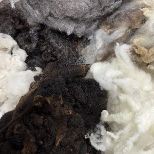 NorCal Fleece Sampler