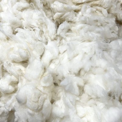 Merino #722045