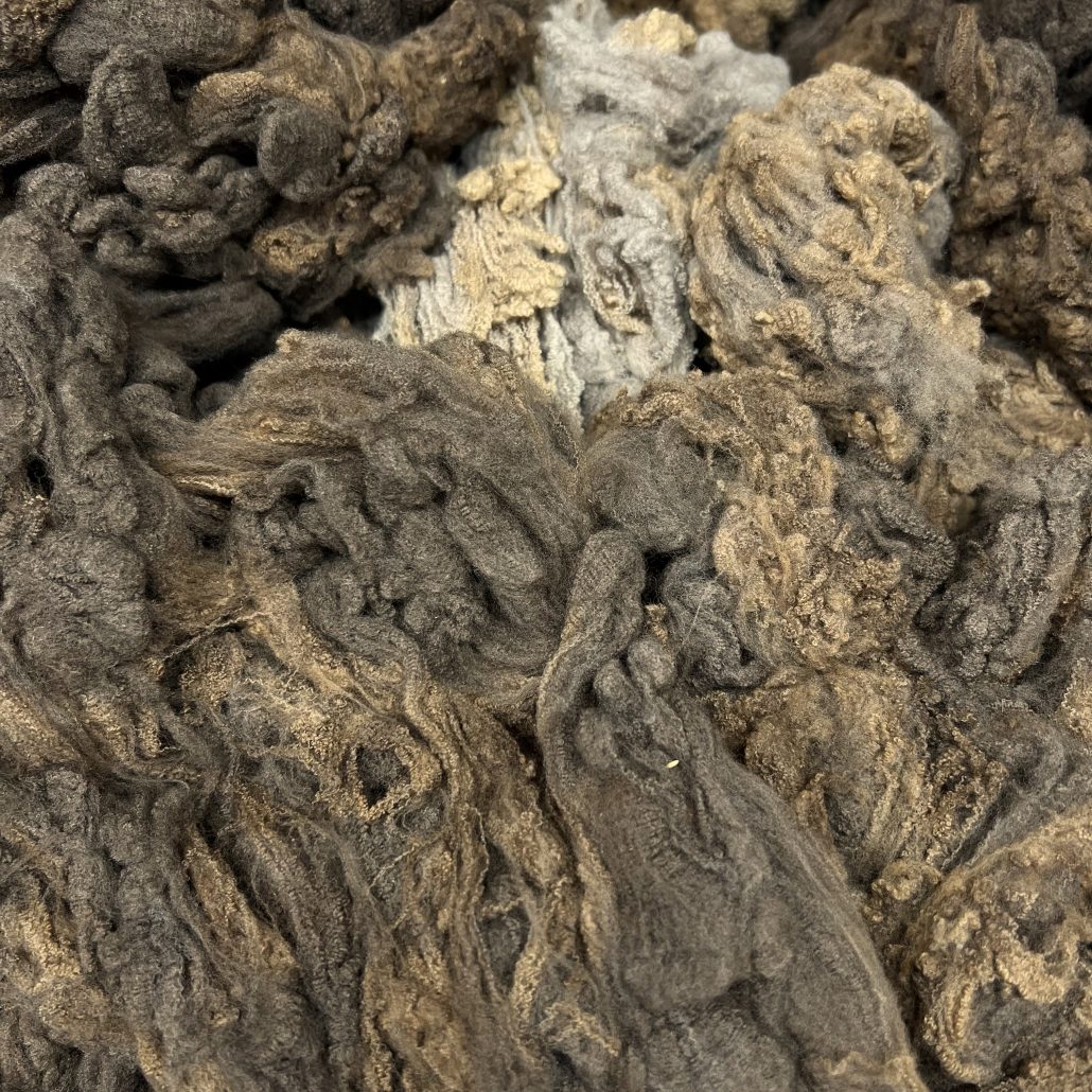 Imperfect Merino #422079