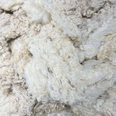 Lincoln x Merino x Cormo x Wensleydale #138