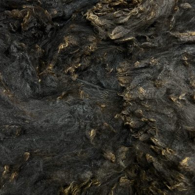 Huacaya Alpaca #A2503