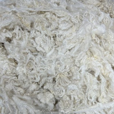 BFL Lamb #24191