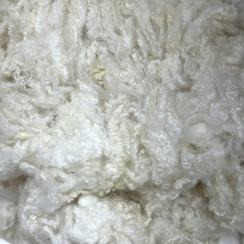BFL #24192