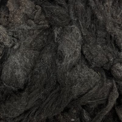 Merino x Wensleydale #22311