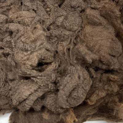 Merino # 22322