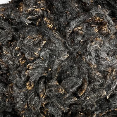 Huacaya Alpaca #A34