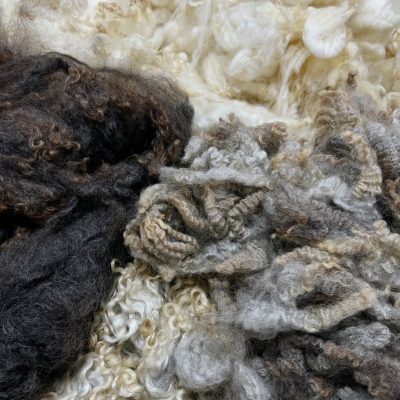 Terrapin Taster - Maryland Fleece Sampler