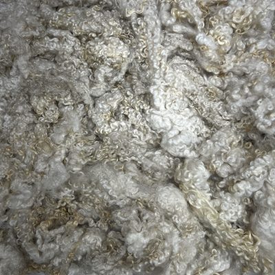 BFL #25248