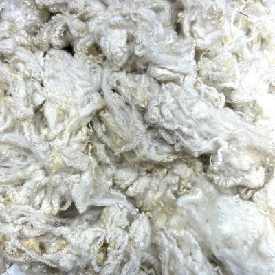 Imperfect BFL Lamb #725332