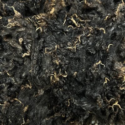 Imperfect BFL x Wensleydale #426171