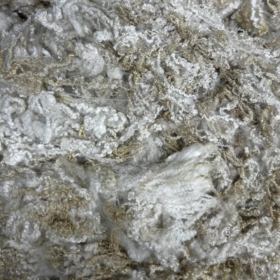 BFL #26079