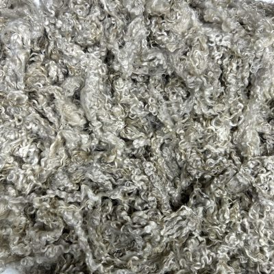 Wensleydale Lamb #725203