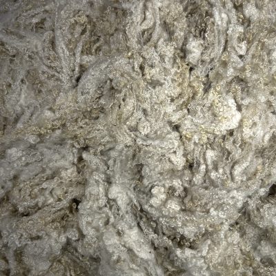 BFL #725251